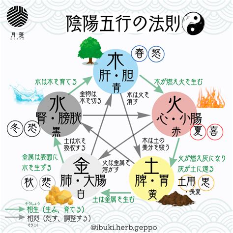 陽五行|五行